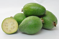 Feijoa Karamea