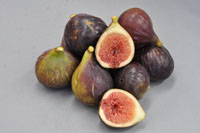 Fig Malta