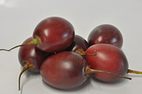 Tamarillo Muligan