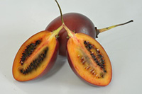 Tamarillo Muligan